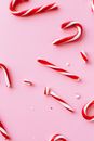 White and Red Candy Canes