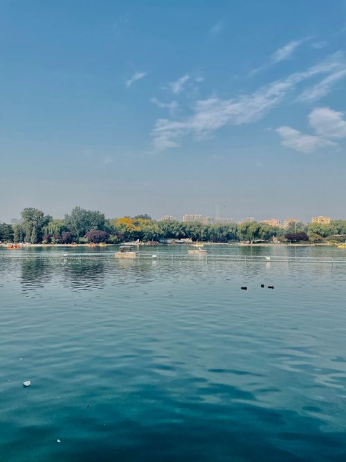 Free A tranquil lake scene with lush trees and a blue sky backdrop, ideal for nature themes. Stock Photo