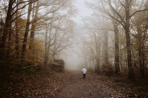 What Fog and Wind Tell Us About Fall