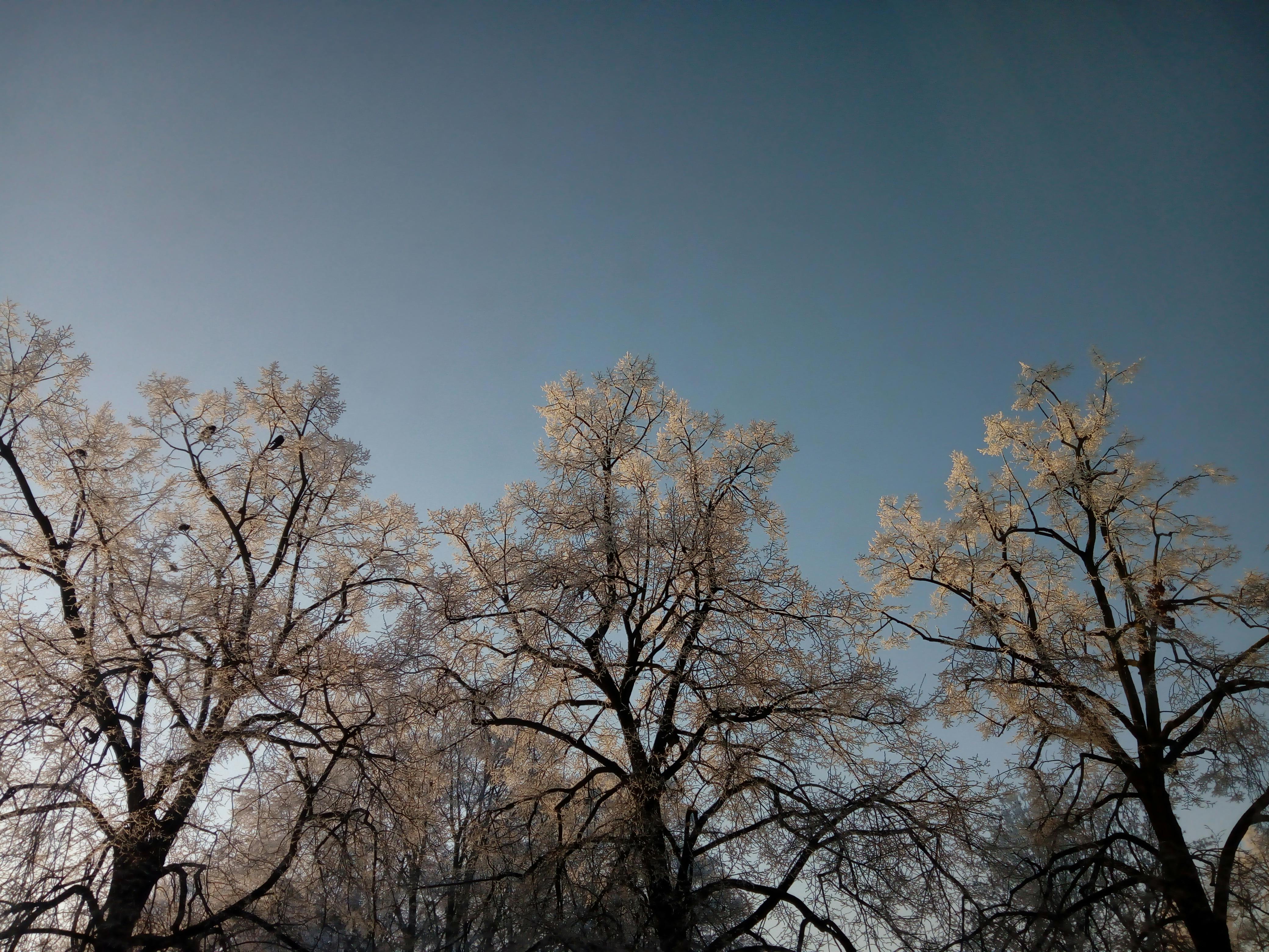 Best Museums to visit in Atlanta: A Complete Guide