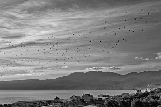 A flock of birds flying over a lake with mountains and clouds in a black and white landscape.