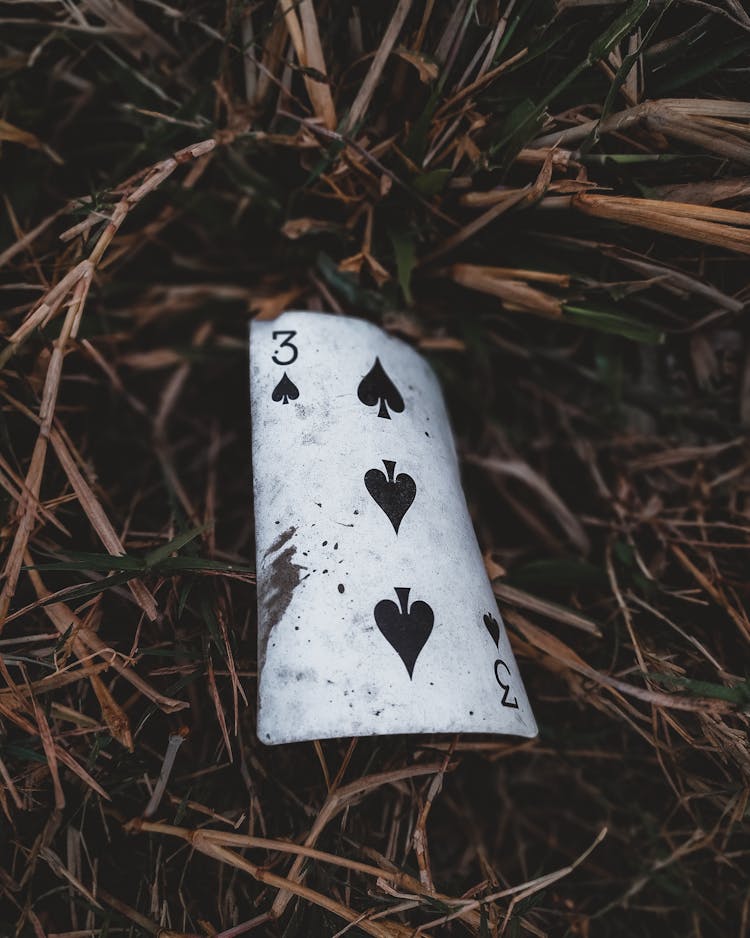 Close-Up Photo Of A Three Of Spades Playing Card