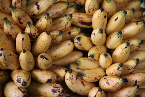 Background of delicious sweet ripe yellow unpeeled bananas fruits with dark spots in light place
