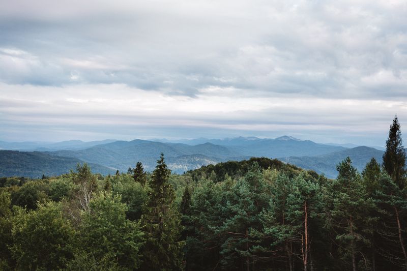 Dilijan National Park