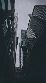 充满活力的城市景观以低角度视角的现代摩天大楼为特色，展现了城市建筑的风貌