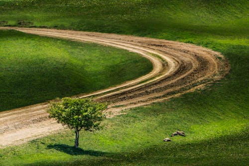 An Aerial Photography of a Dirt Road Between Green Grass Field