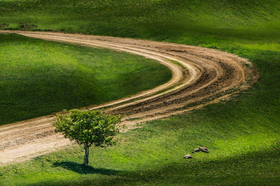 An Aerial Photography of a Dirt Road Between Green Grass Field