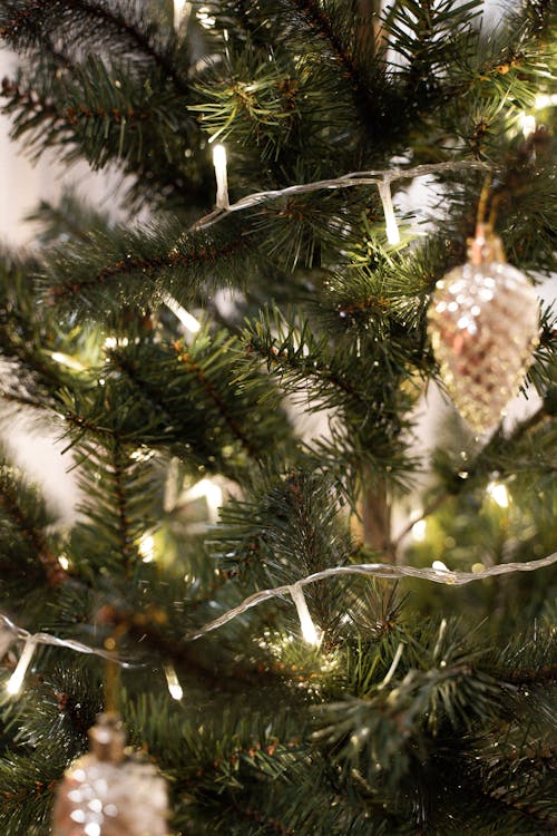 Foto profissional grátis de atmosfera de natal, decorações de Natal, fechar-se