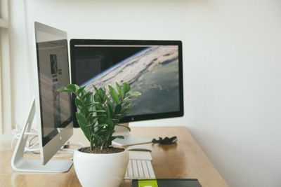 Desk workspace with monitors and a potted plant — photo by Tranmautritam on Pexels