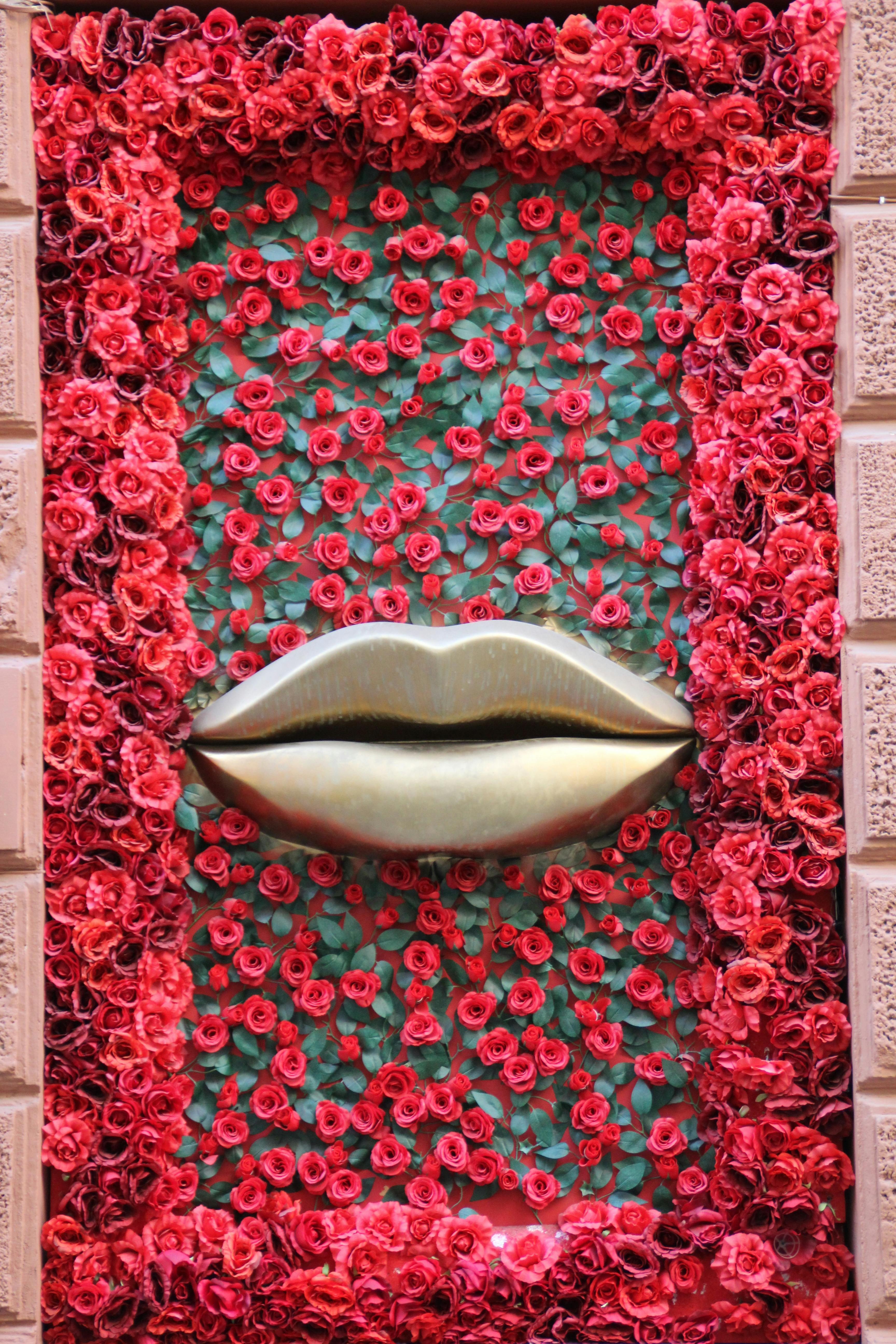 Pink Flowers on the Window · Free Stock Photo