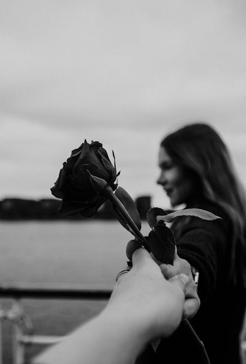 Crop anonymous man giving elegant rose to young happy girlfriend relaxing on embankment near lake during romantic date