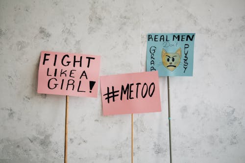 Gratis lagerfoto af besked, Fakta, feminisme Lagerfoto