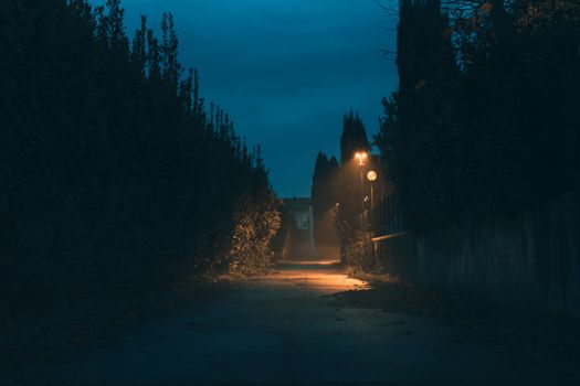 夜晚的街道雾气弥漫，灯光昏暗，路灯投下阴影
