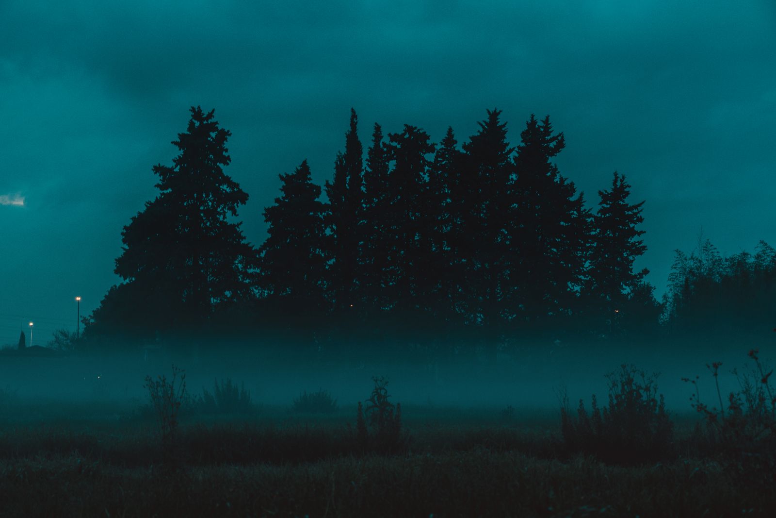 Fog drifting through a silhouetted forest at twilight — photo by Andrea Bova on Pexels