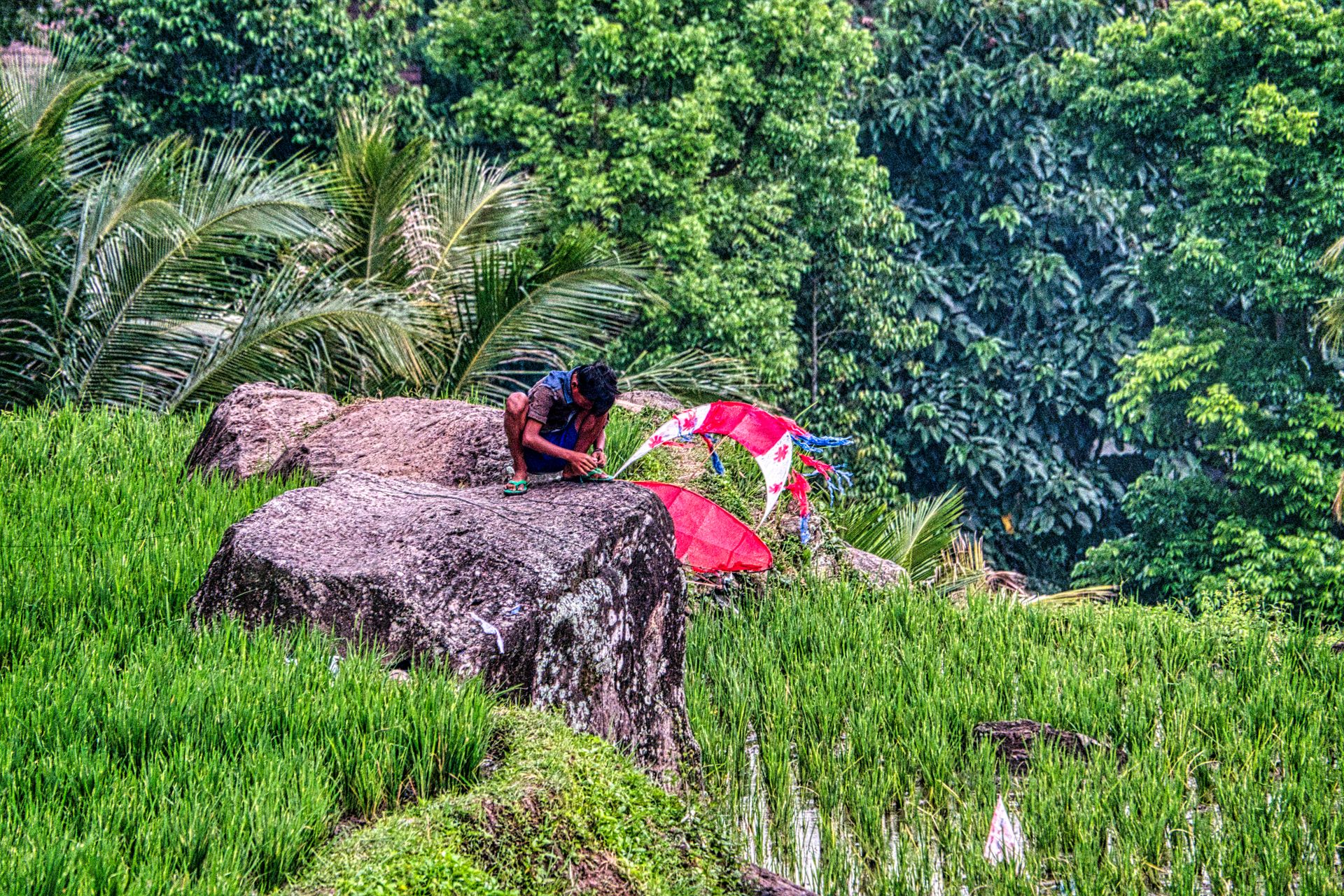 Full body of unrecognizable local ethnic male sitting on haunches on rocky boulder in paddy field and preparing for launching kite