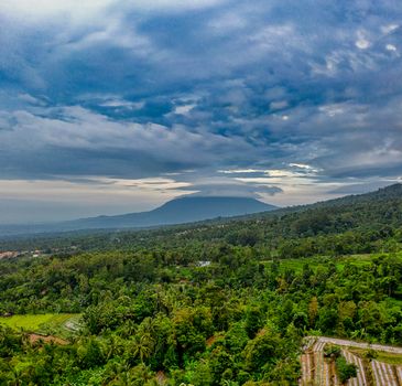 Breathtaking scenery of mountain slope terraced rice fields amidst lush green tropical trees against cloudy sunset sky in countryside - Fotografer Sidoarjo