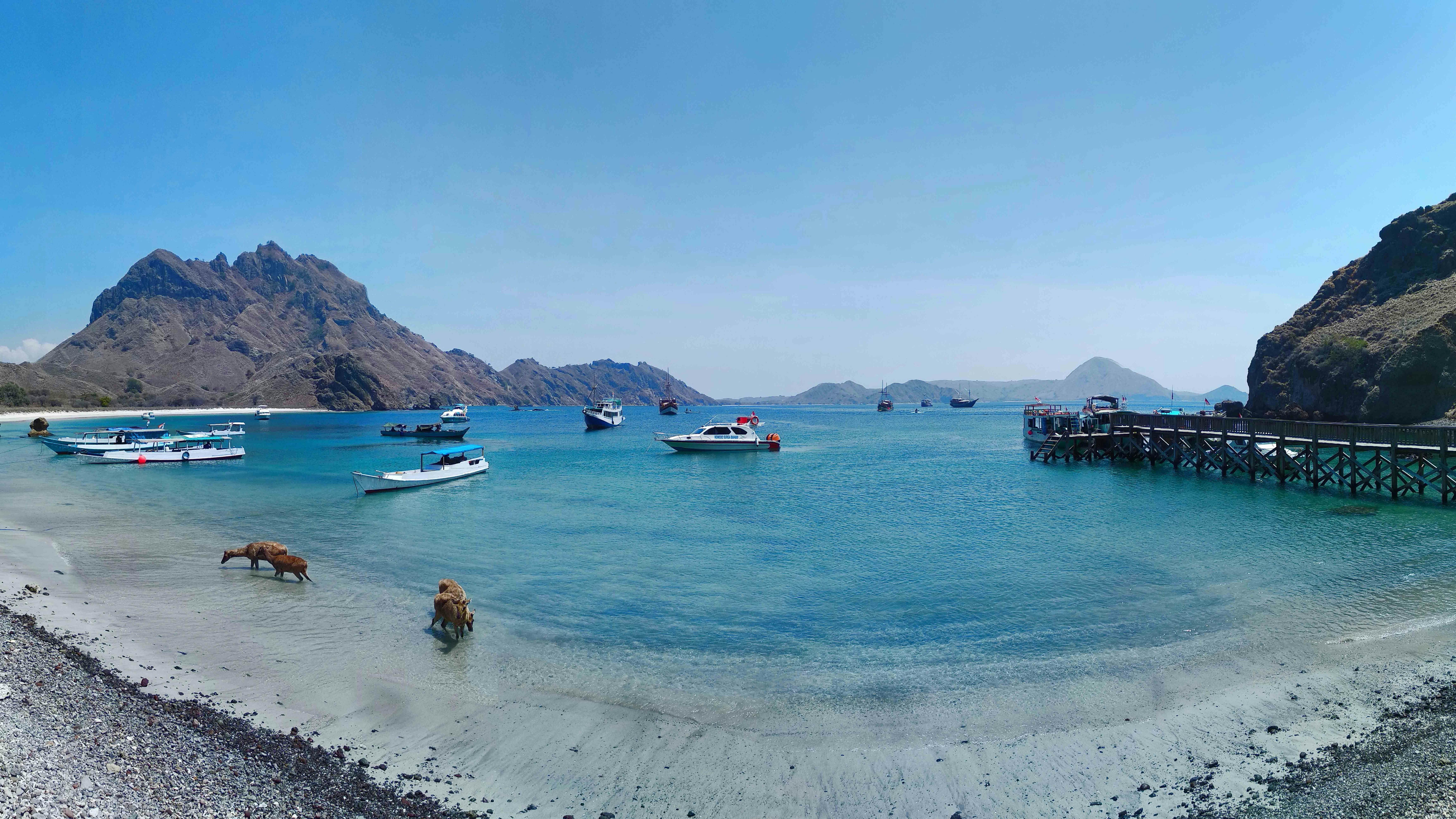 A wide coastal view of Komodo Island with clear turquoise water and a quiet beach in the foreground, where several deer are grazing near the shoreline, while small boats gently anchor across the bay. Meanwhile, the calm water reflects the tropical light, and, along the coast, the sandy edge meets shallow reefs that hint at the rich marine life below. In the background, rugged hills rise dramatically, and at the same time a wooden jetty extends into the sea, guiding the eye toward the open horizon. As the bright blue sky stretches overhead, the entire scene feels spacious and unhurried; moreover, the mix of wildlife, coastline, and anchored boats suggests the classic Komodo island-hopping experience. Ultimately, this view highlights the remote, natural, and largely untouched beauty that makes Komodo National Park so unforgettable.
Transition words: Only 24% of the sentences contain transition words, which is not enough. Use more of them.
First, a wide coastal view of Komodo Island opens with clear turquoise water and a quiet beach in the foreground, where several deer graze near the shoreline. Meanwhile, the calm bay stretches outward, and, just beyond the shallows, small boats sit gently anchored across the water. In addition, the soft ripples reflect the tropical light, so the sea looks even more vivid and inviting. At the same time, a wooden jetty extends into the bay, guiding the eye toward the boats and then out to the horizon. Behind it all, rugged hills rise dramatically, and, by contrast, the shoreline remains peaceful and still. As the bright blue sky spreads overhead, the entire scene feels open and unhurried; moreover, the mix of wildlife, coastline, and anchored boats signals a classic island-hopping moment. Ultimately, the view highlights the remote, natural, and largely untouched beauty that defines Komodo National Park.