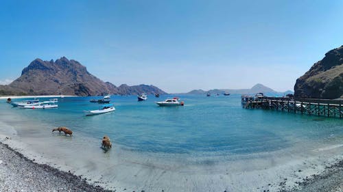Panoramic View of Boats on the Sea