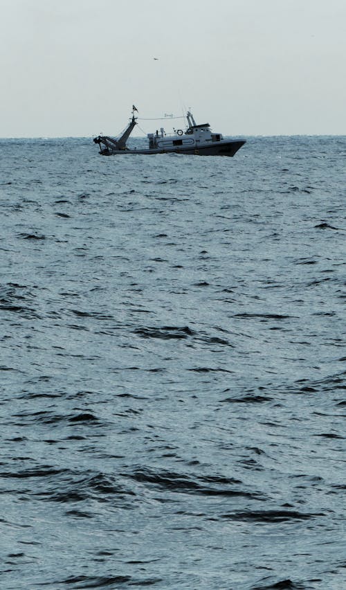 Foto d'estoc gratuïta de arrelador navegant amb swell, barca de pesca, embarcació d'aigua