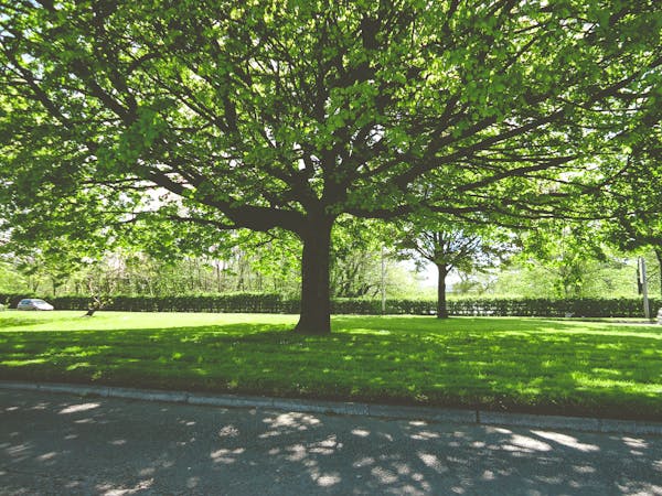 Потеря ключей