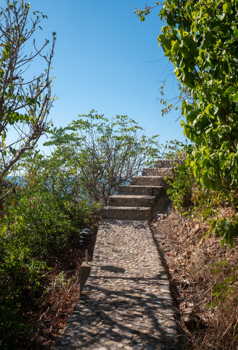 Curved cobblestone garden path winding through a green lawn
