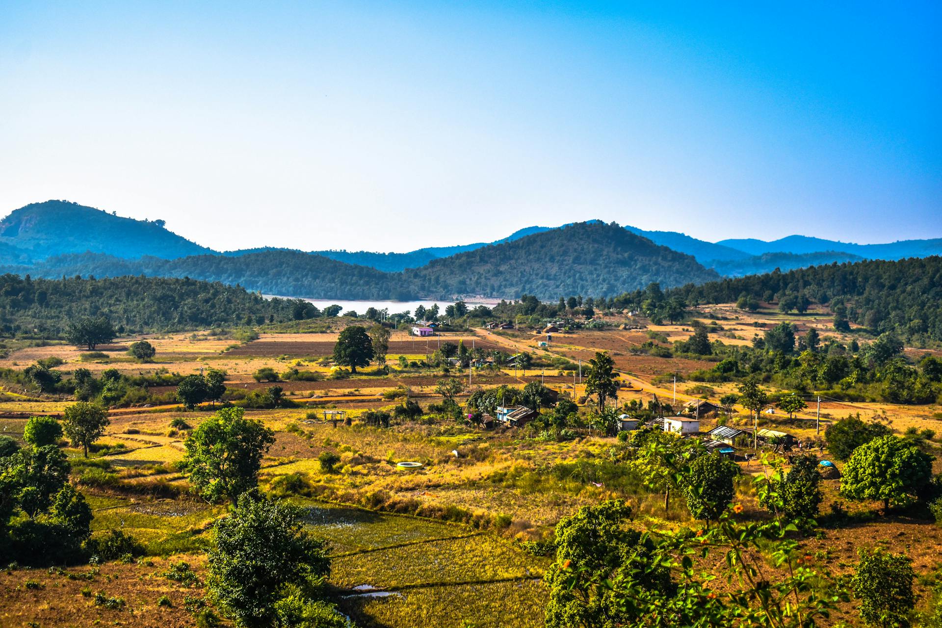 Aerial view of a vibrant rural landscape in Odisha, India, showcasing fields, houses, and distant hills.