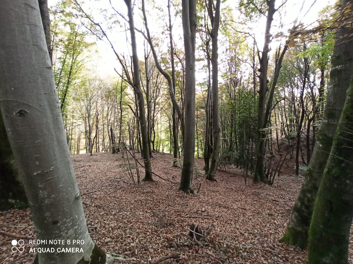 Finished high-protein bowl with eggs, grains, vegetables, and seeds