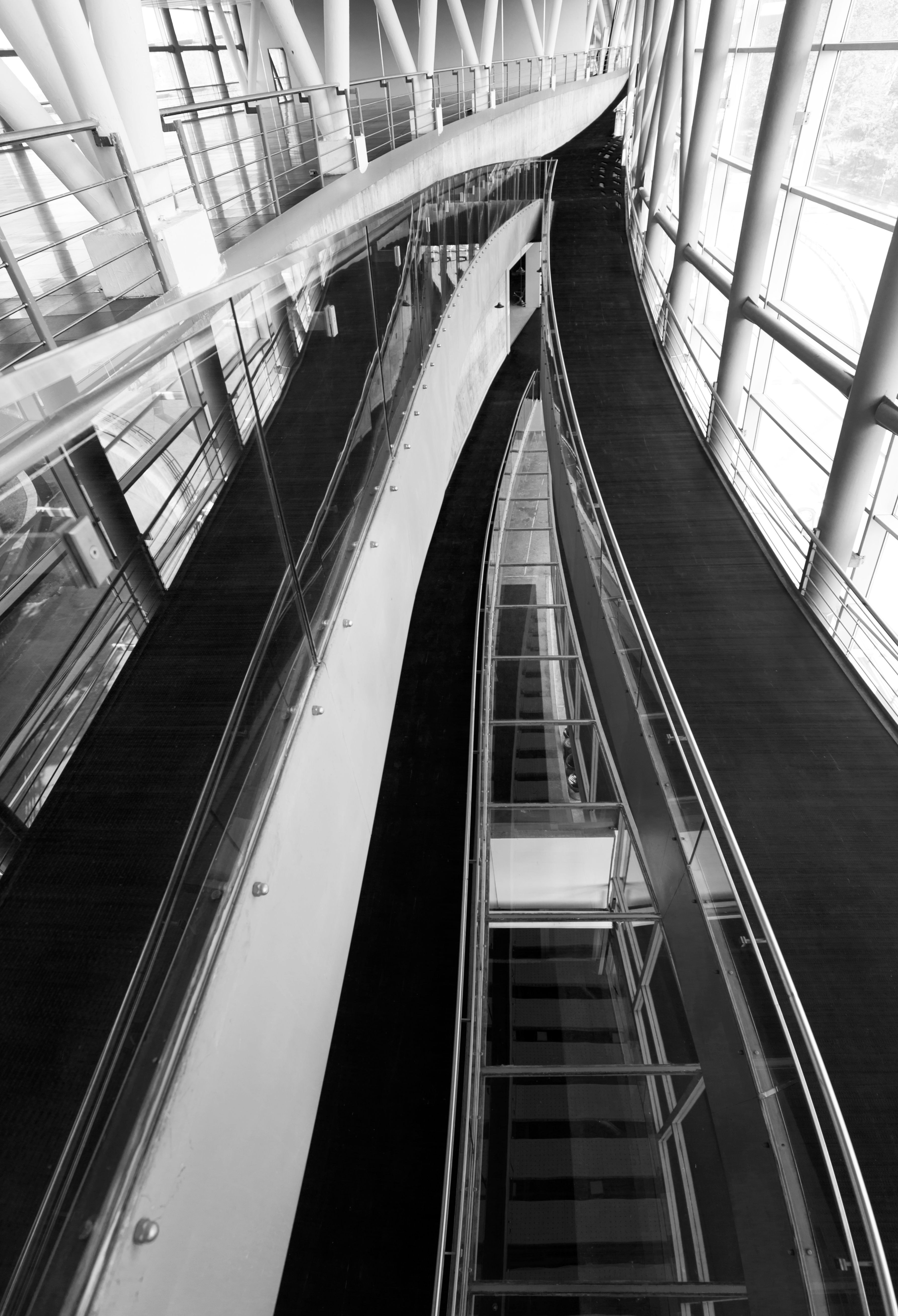 Grayscale Photo of a Walkalator · Free Stock Photo