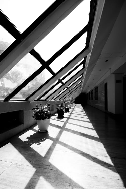 Free Grayscale Photo of a Hallway of a Building Stock Photo