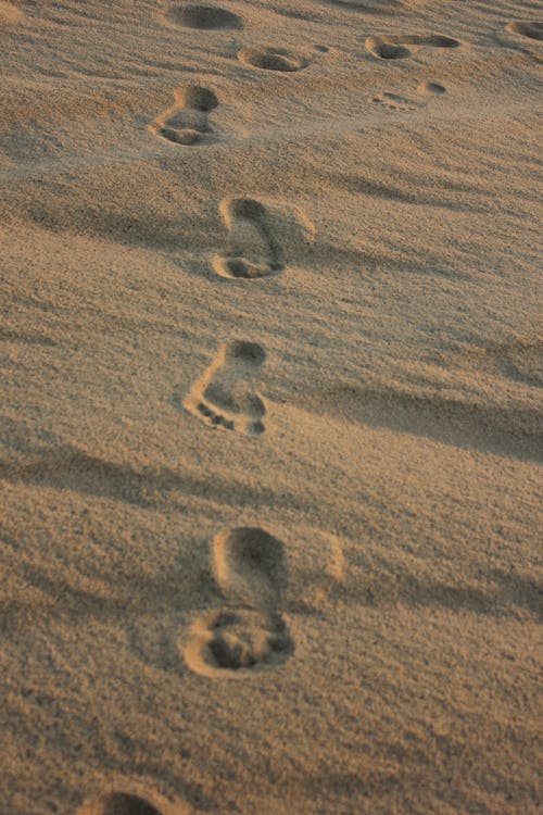Close-Up Shot of Footprints on the Sand
