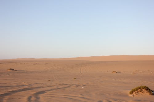 Foto profissional grátis de aborrecido, árido, deserto