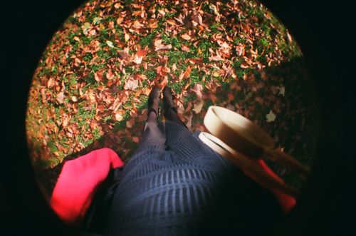 Free Fisheye perspective of a person standing among vibrant autumn leaves, offering a unique view of fall fashion. Stock Photo