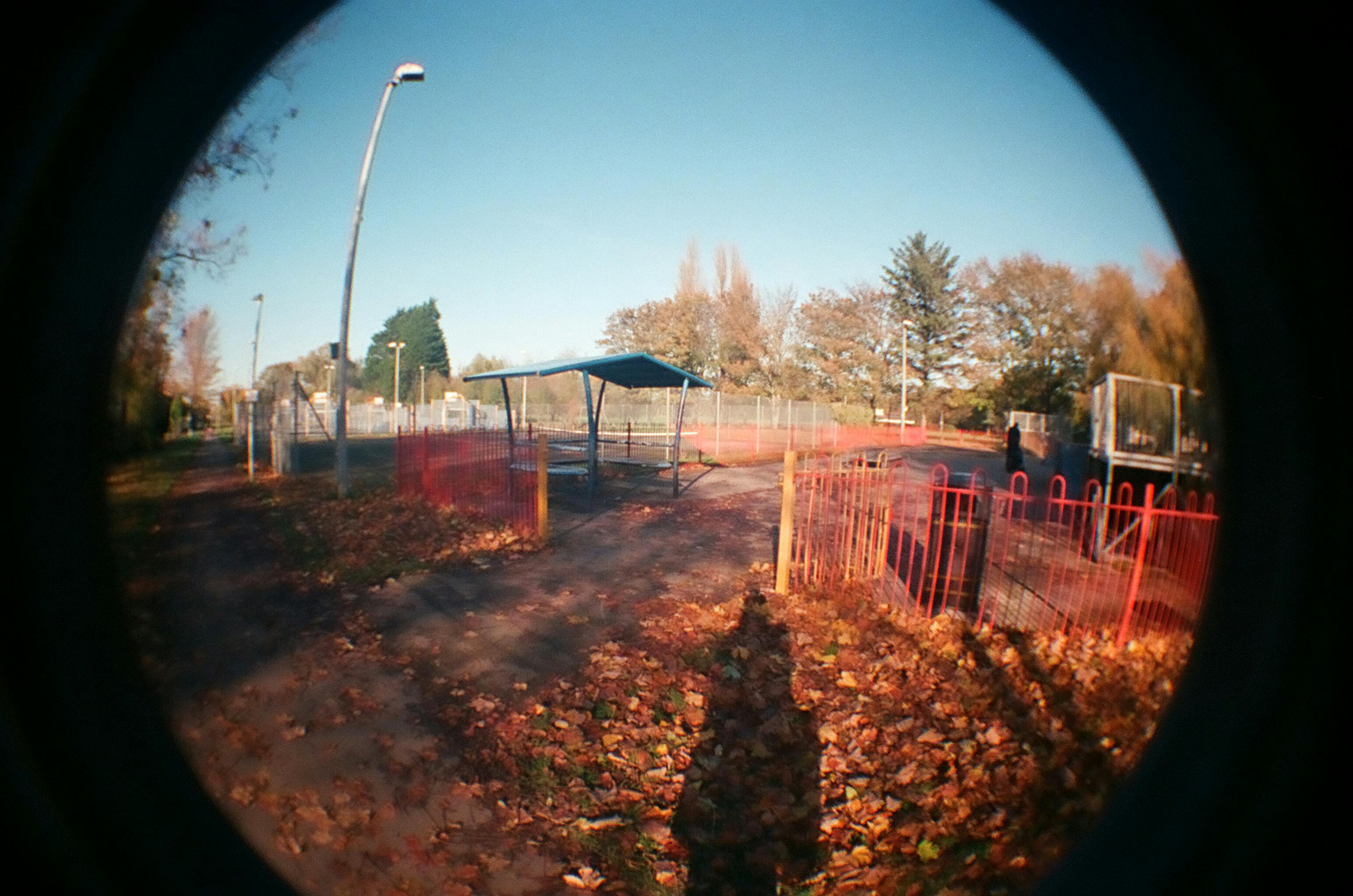 Fisheye lens capturing a park scene with autumn leaves and blue sky in a serene setting.