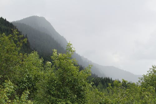 Δωρεάν στοκ φωτογραφιών με βουνό, δέντρα, λόφος Φωτογραφία από στοκ φωτογραφιών