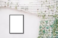 白色格子墙上的简约框架与绿叶相映，构成完美的搭配