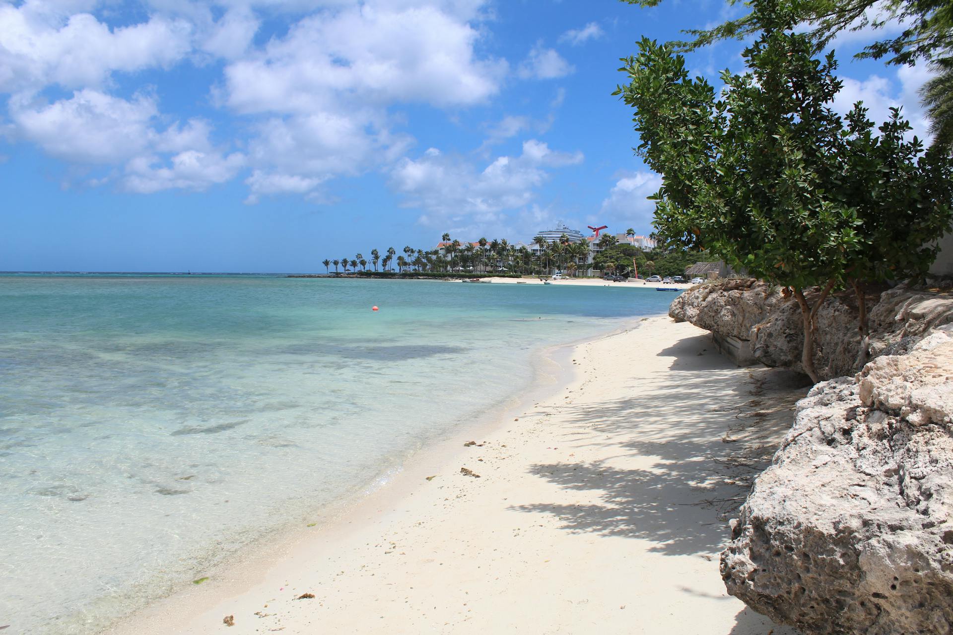 Serene tropical beach in Aruba with turquoise waters, blue sky, and lush trees. Perfect for a relaxing getaway.