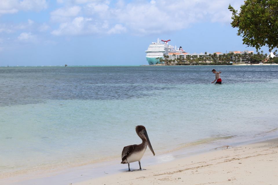 in Aruba