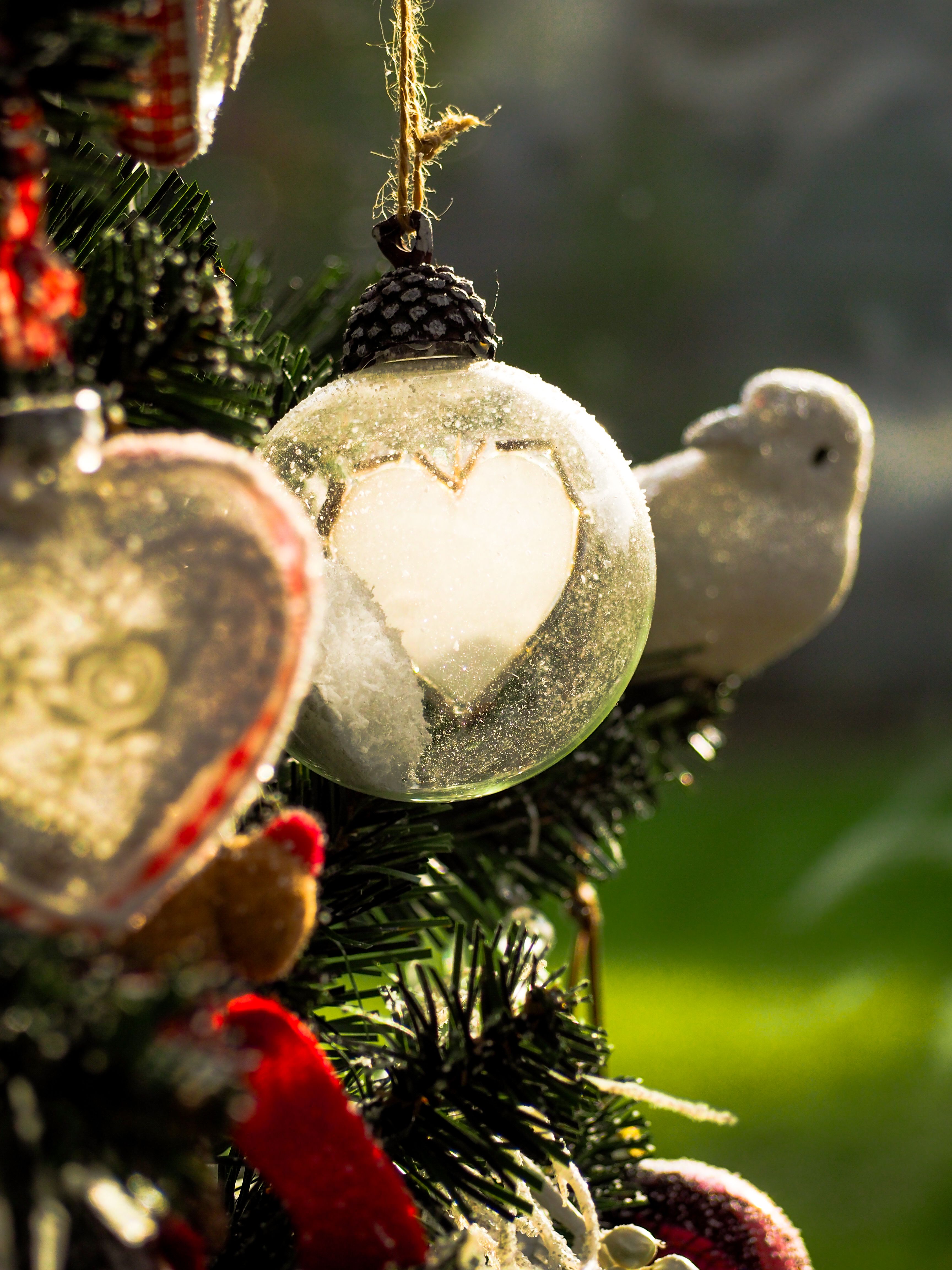 Close-Up Shot of Christmas Baubles Hanging on a Christmas Tree · Free ...