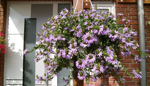Free stock photo of summer Stock Photo