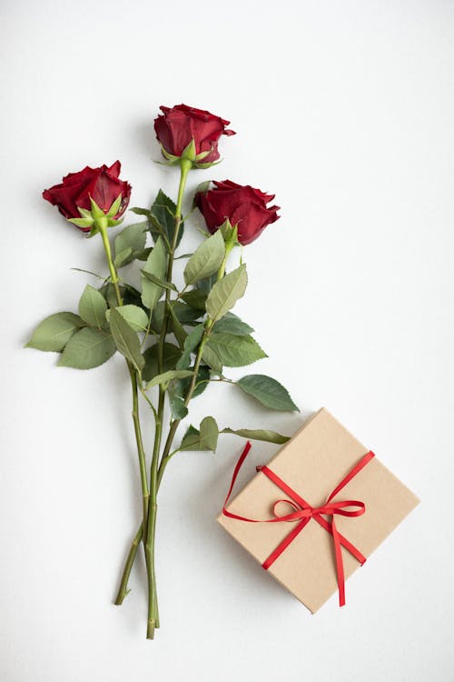 Free Gift box and fresh flowers Stock Photo