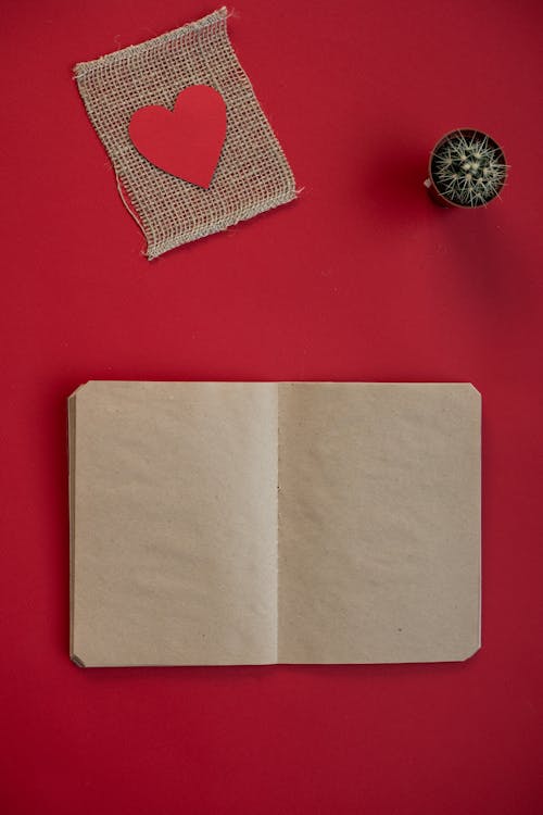 Top view of craft notepad and paper heart on burlap piece near potted cactus on red background