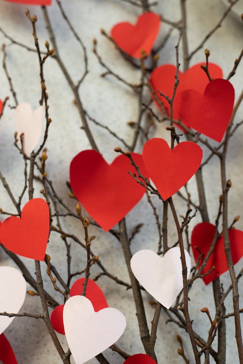 Paper hearts on twigs of tree