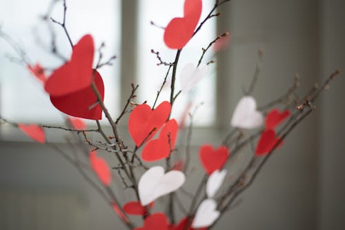 Paper hearts on twigs at home