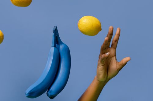 Free A creative shot featuring a hand interacting with blue bananas and a lemon against a blue background. Stock Photo