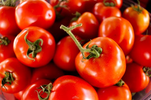 Free Close-Up Shot of Fresh Tomatoes Stock Photo