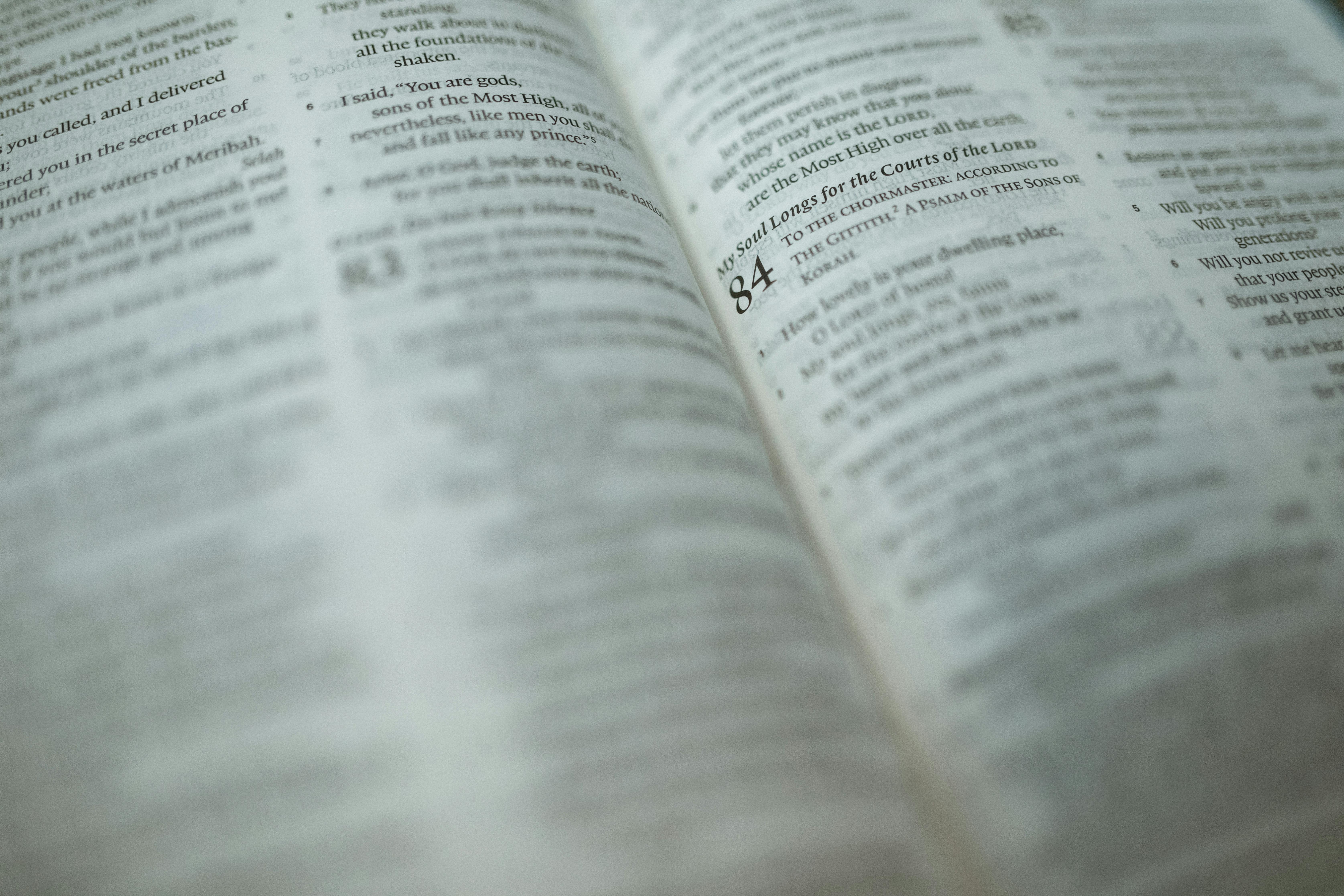 Photo of Person Holding a Bible · Free Stock Photo