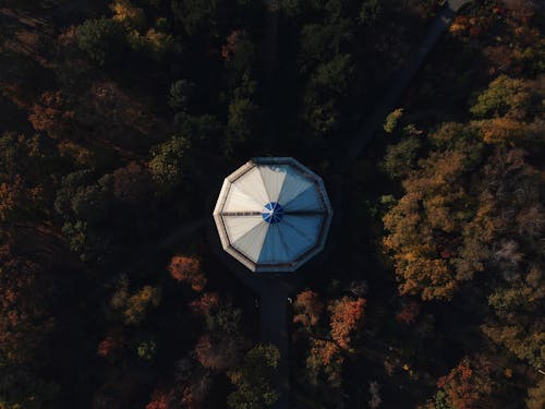 Contemporary building surrounded by lush forest in autumn