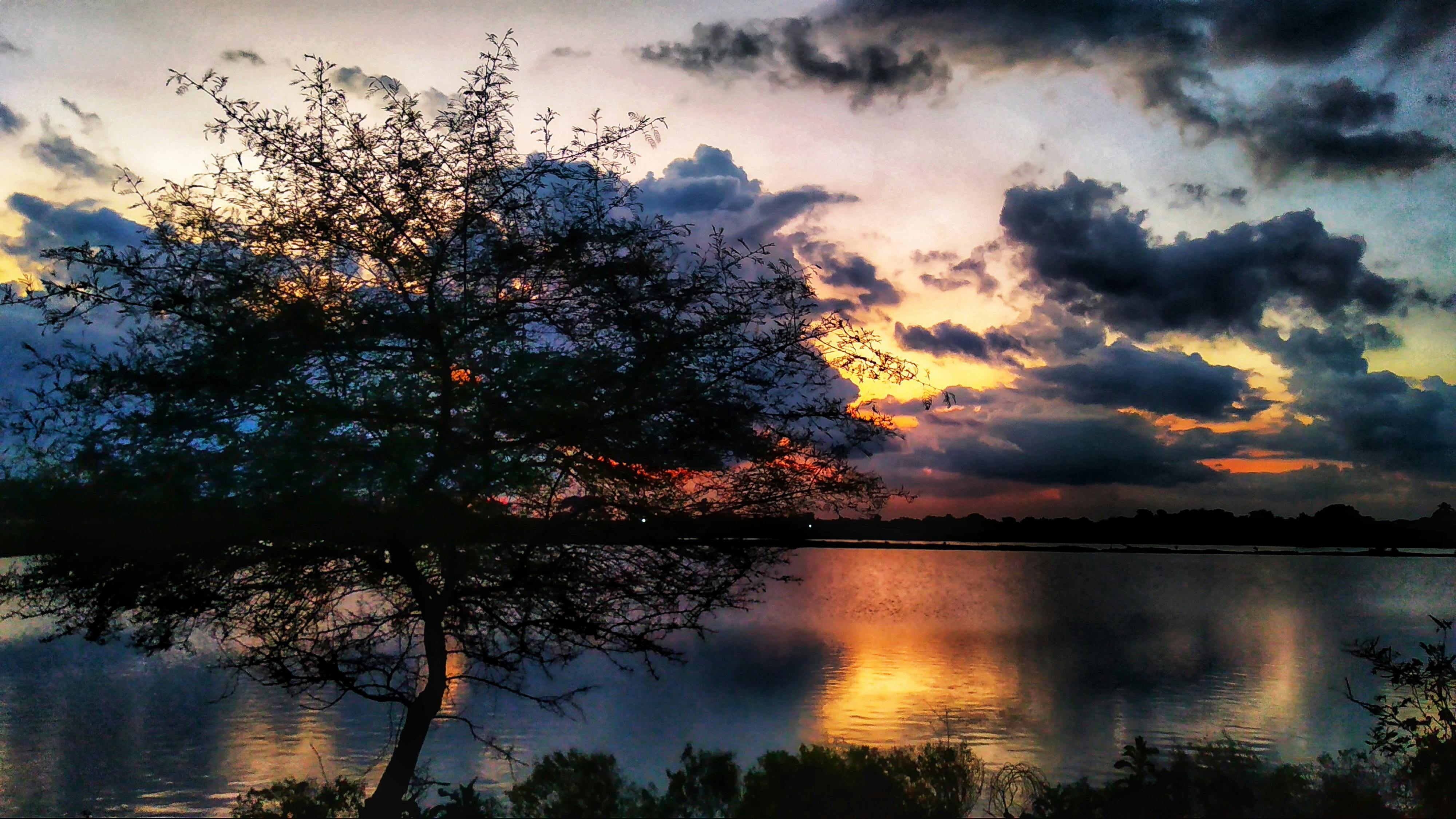 Owner grooming dog and cleaning fur