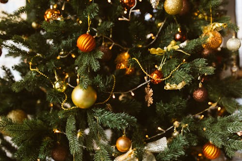 бесплатная Бесплатное стоковое фото с декорации, крупный план, рождественская елка Стоковое фото