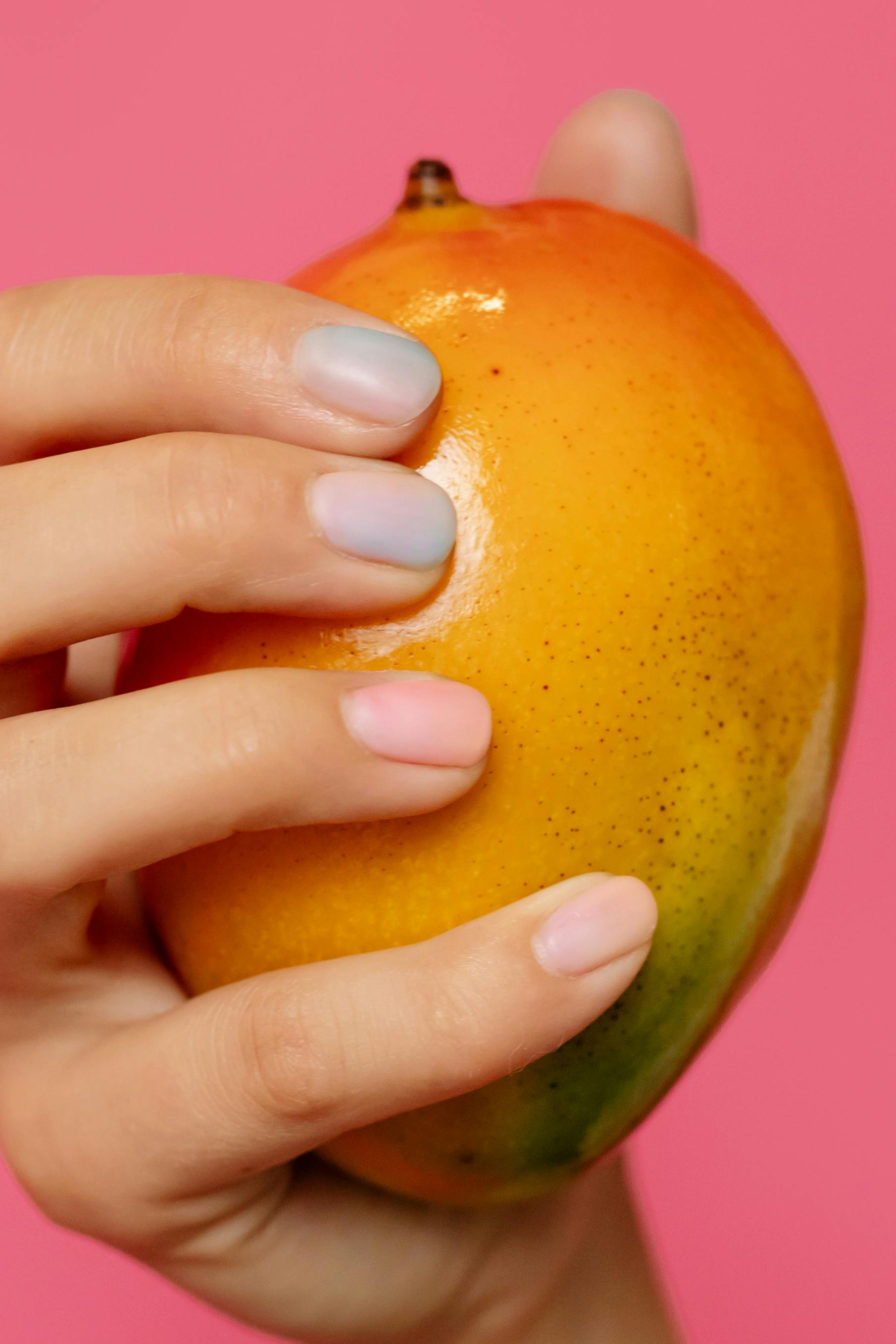 Mango Photos, Download The BEST Free Mango Stock Photos & HD Images Mango Photos, Download The BEST Free Mango Stock Photos & HD Images
